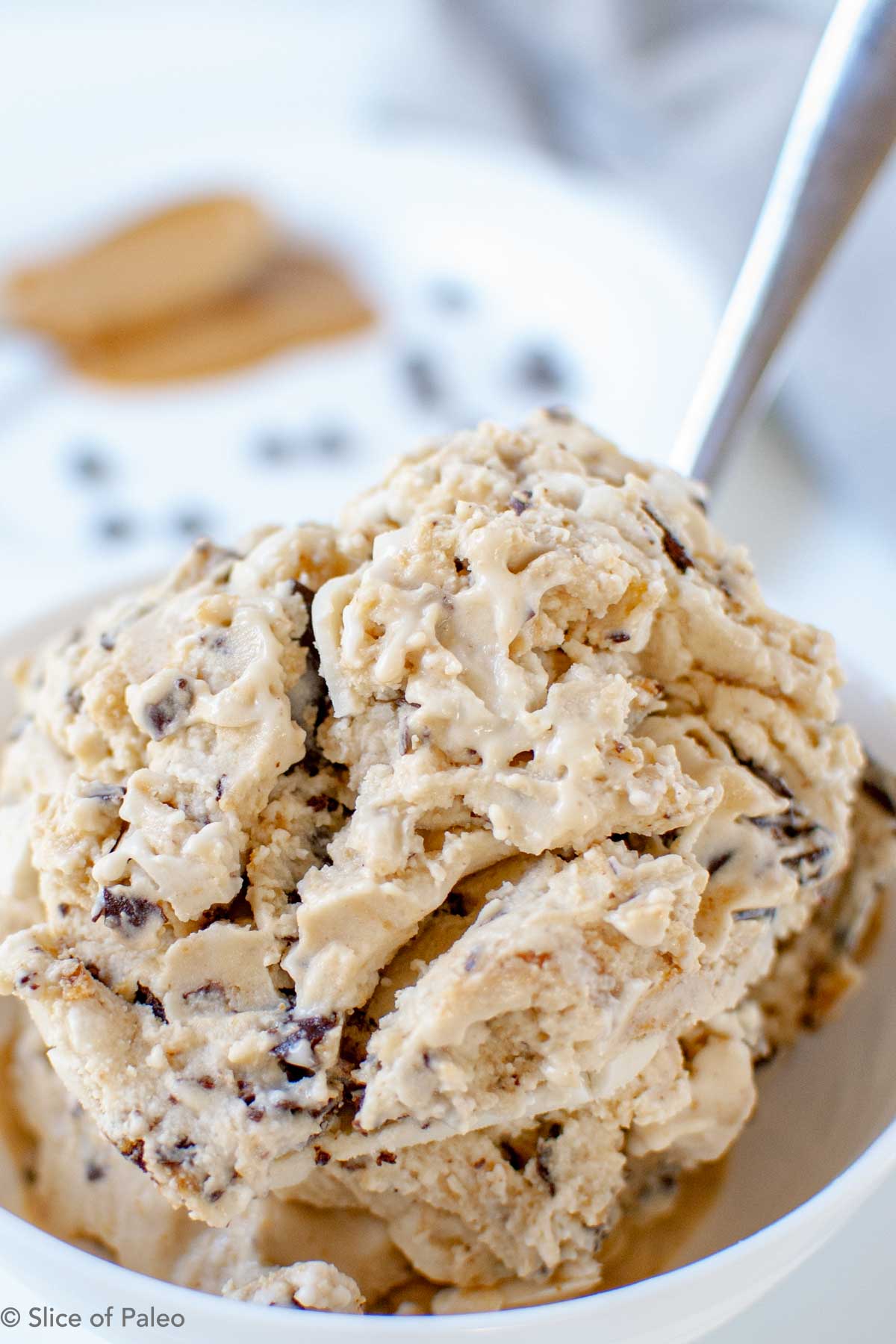Dairy free peanut butter chocolate swirl ice cream served in a dish