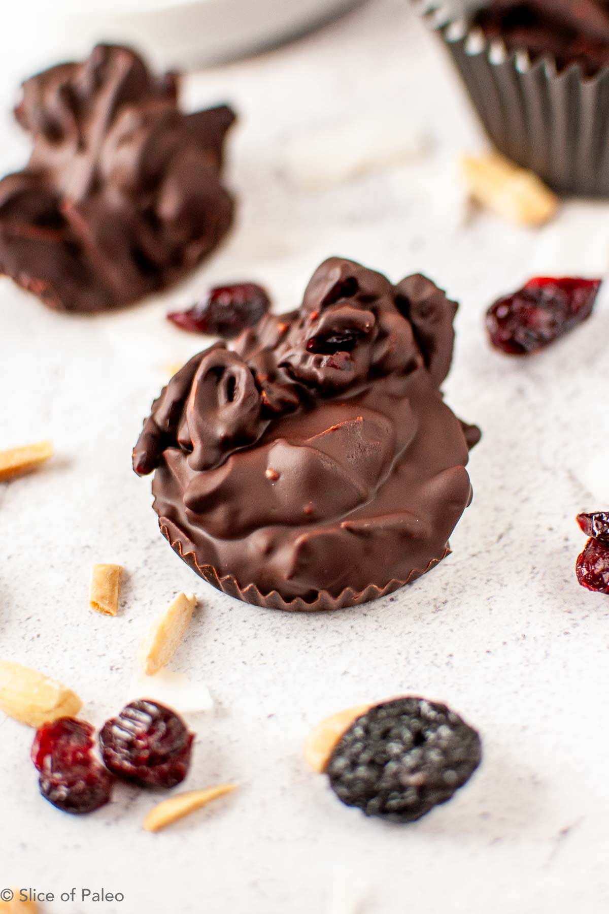 Paleo chocolate cluster surrounded by dried fruit and nuts.